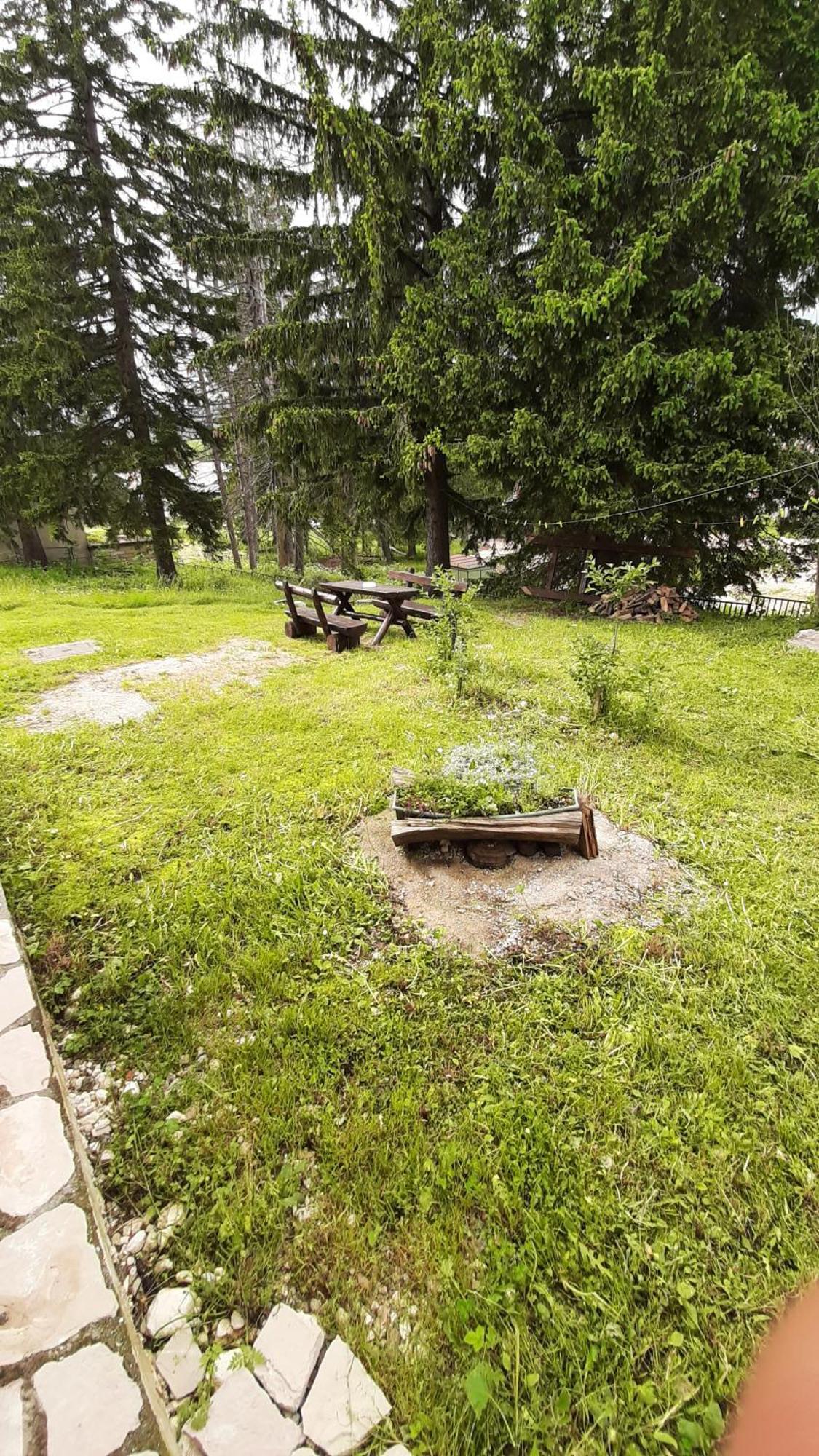 Apartments Durmitor Žabljak Eksteriør billede
