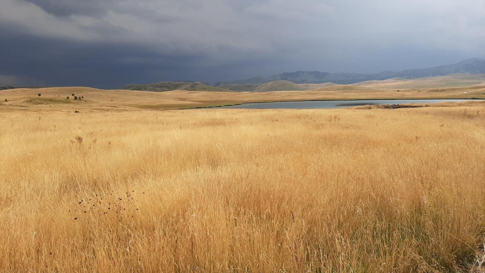 Apartments Durmitor Žabljak Eksteriør billede