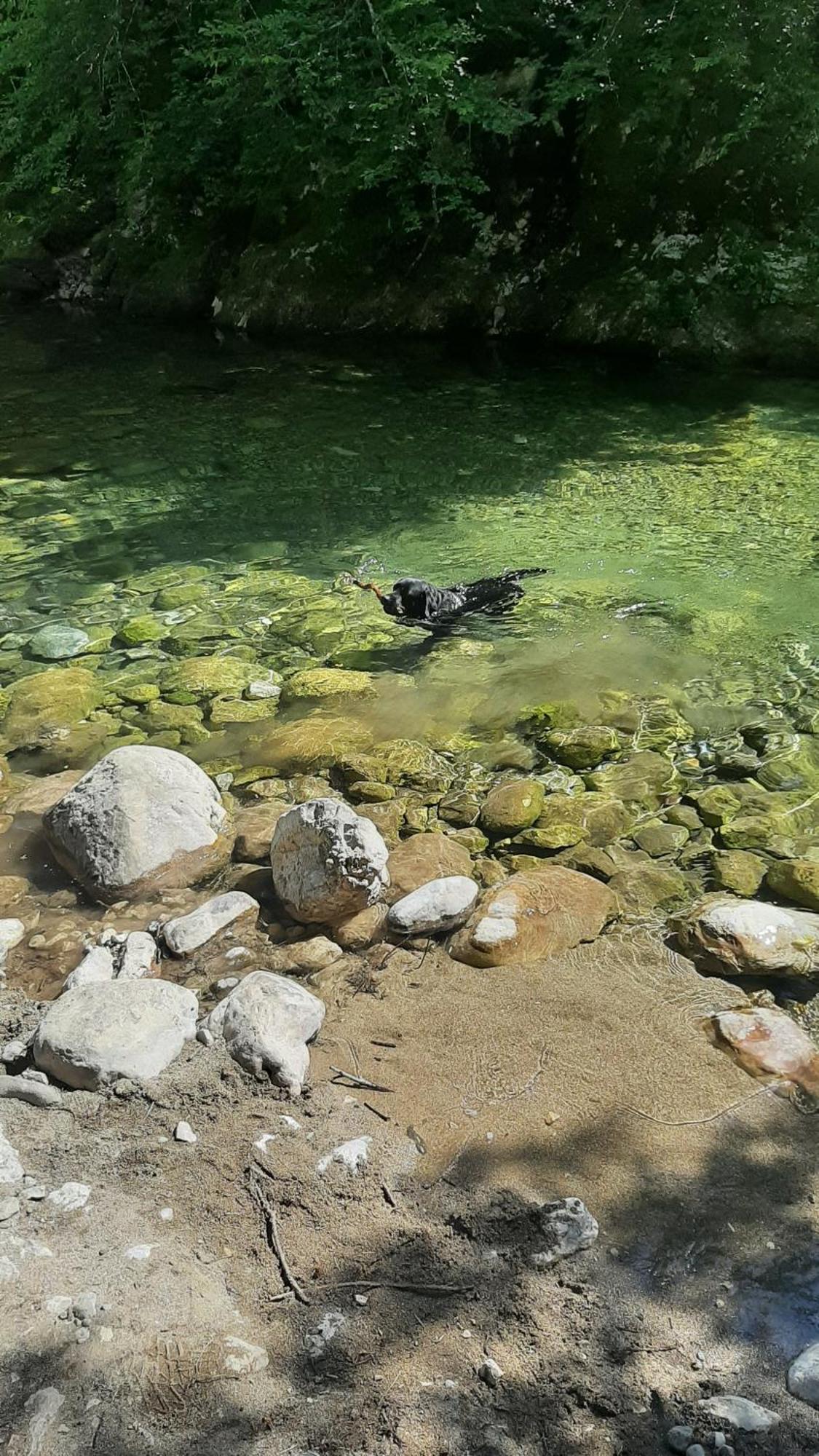 Apartments Durmitor Žabljak Eksteriør billede