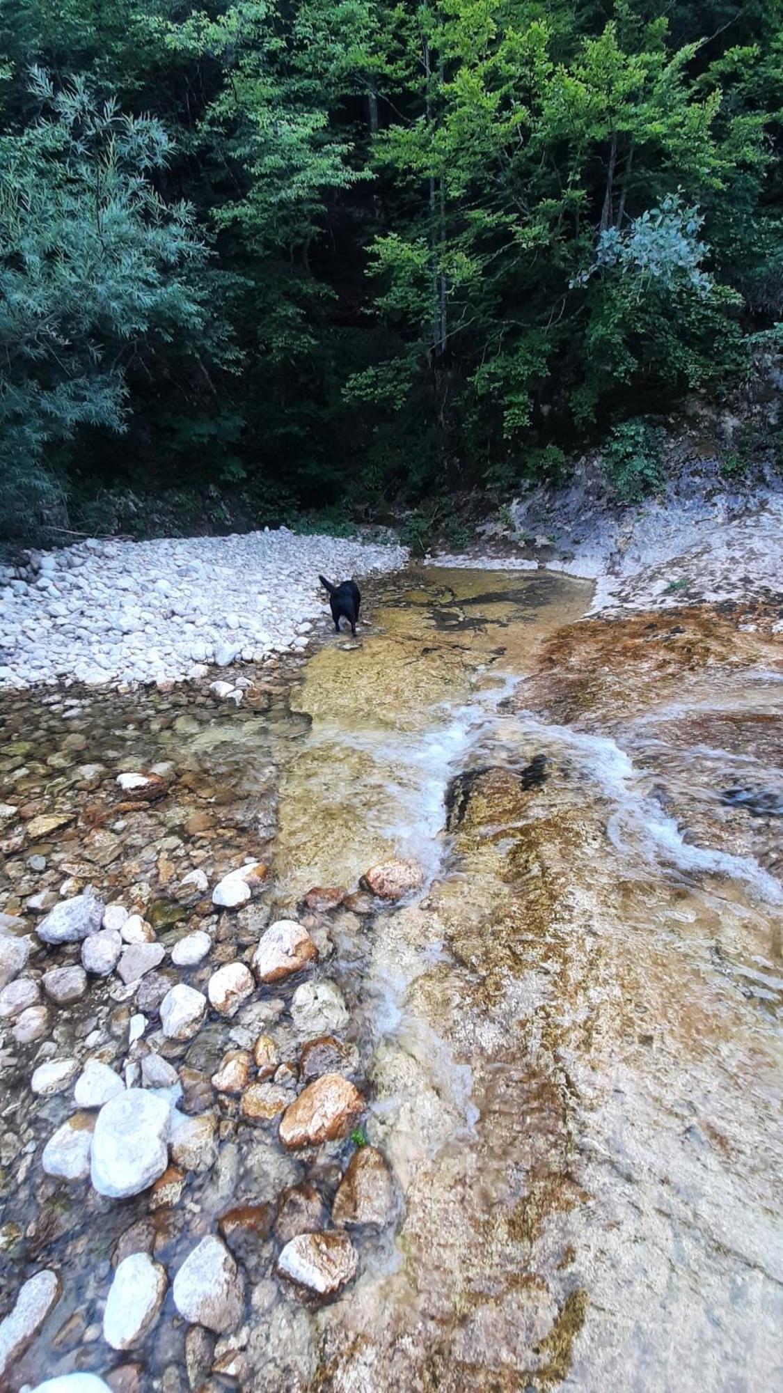 Apartments Durmitor Žabljak Eksteriør billede