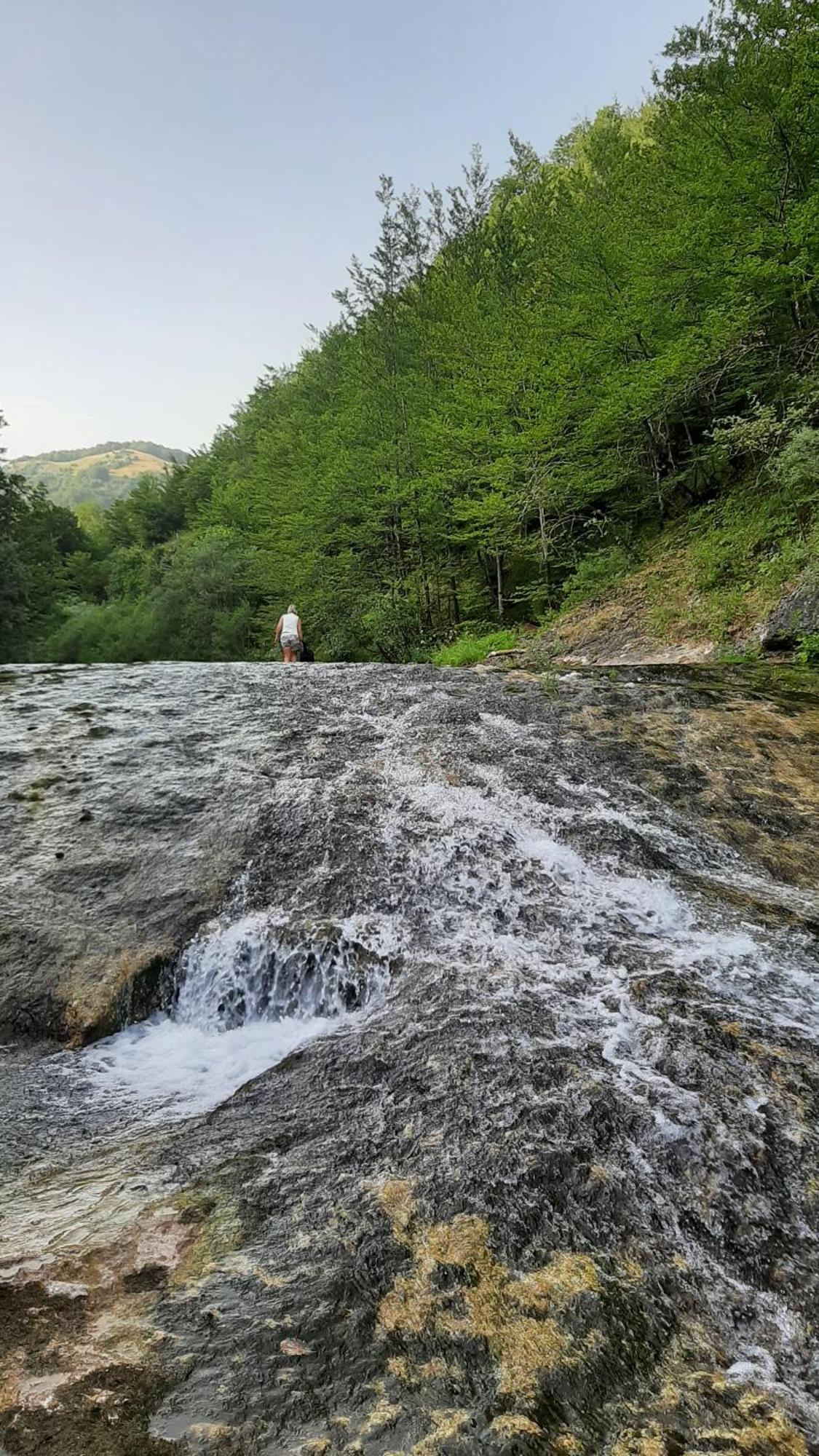 Apartments Durmitor Žabljak Eksteriør billede