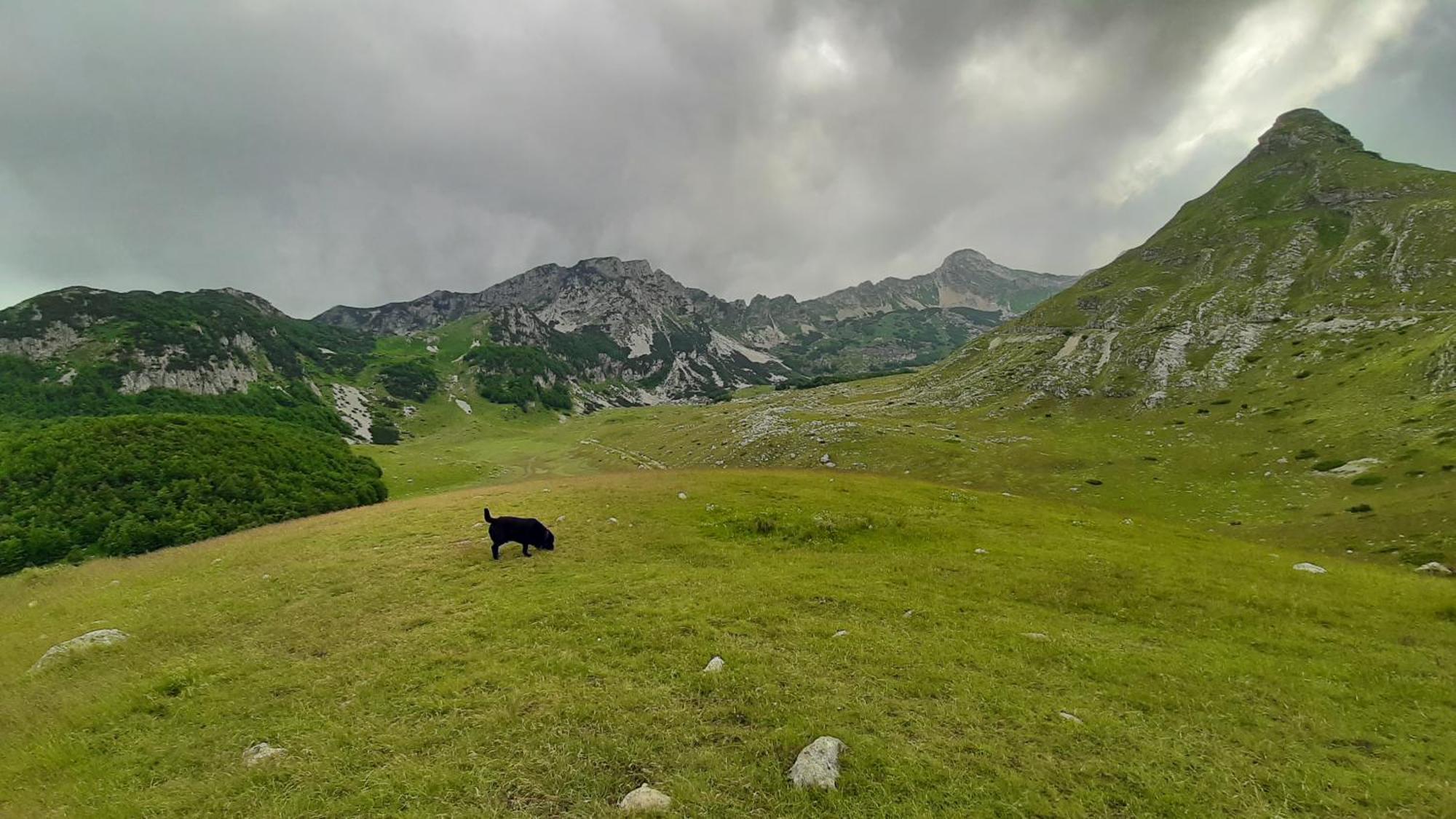 Apartments Durmitor Žabljak Eksteriør billede
