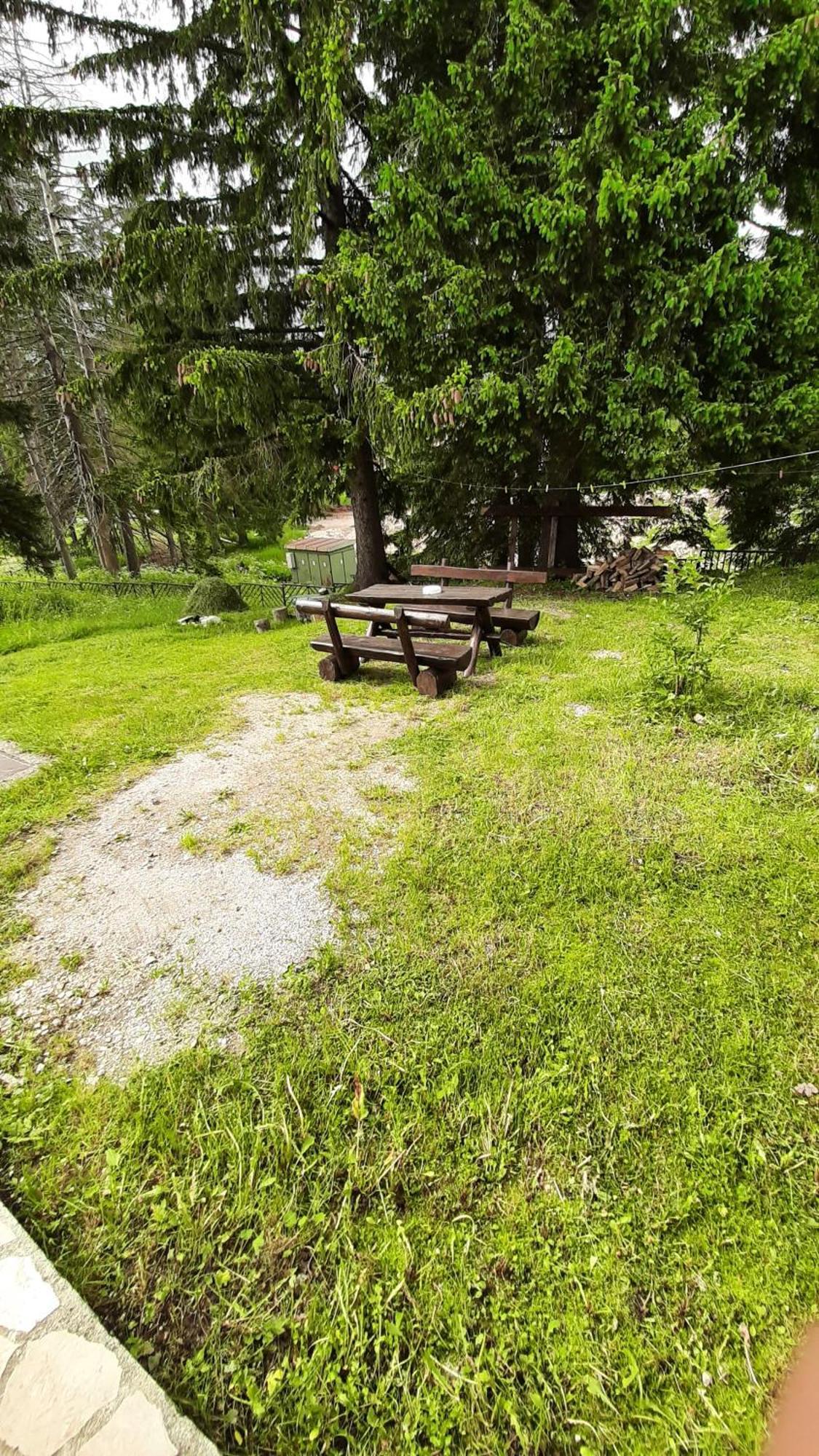 Apartments Durmitor Žabljak Eksteriør billede