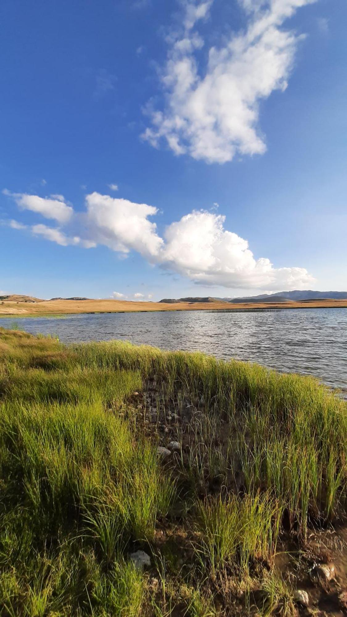 Apartments Durmitor Žabljak Eksteriør billede