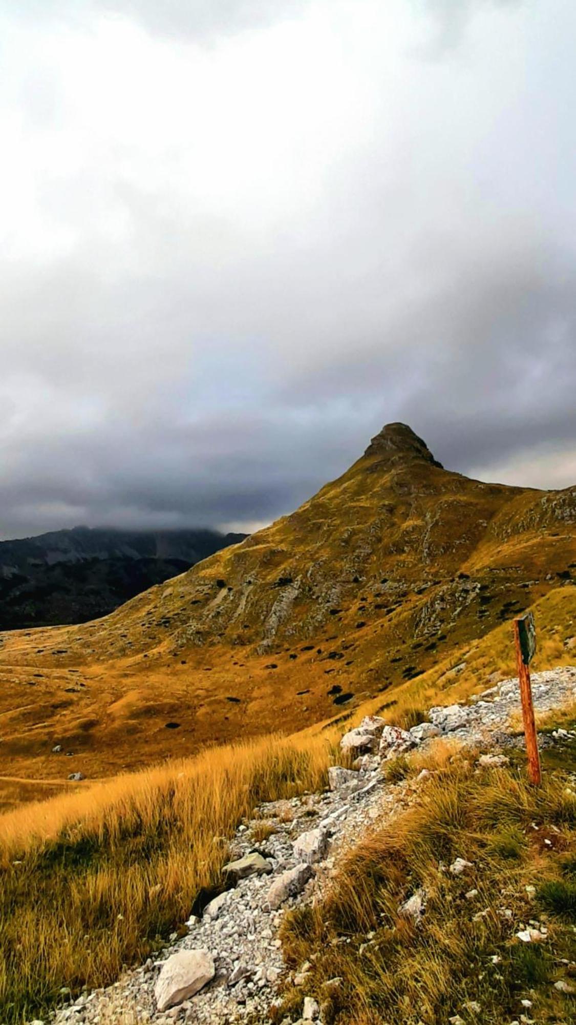 Apartments Durmitor Žabljak Eksteriør billede