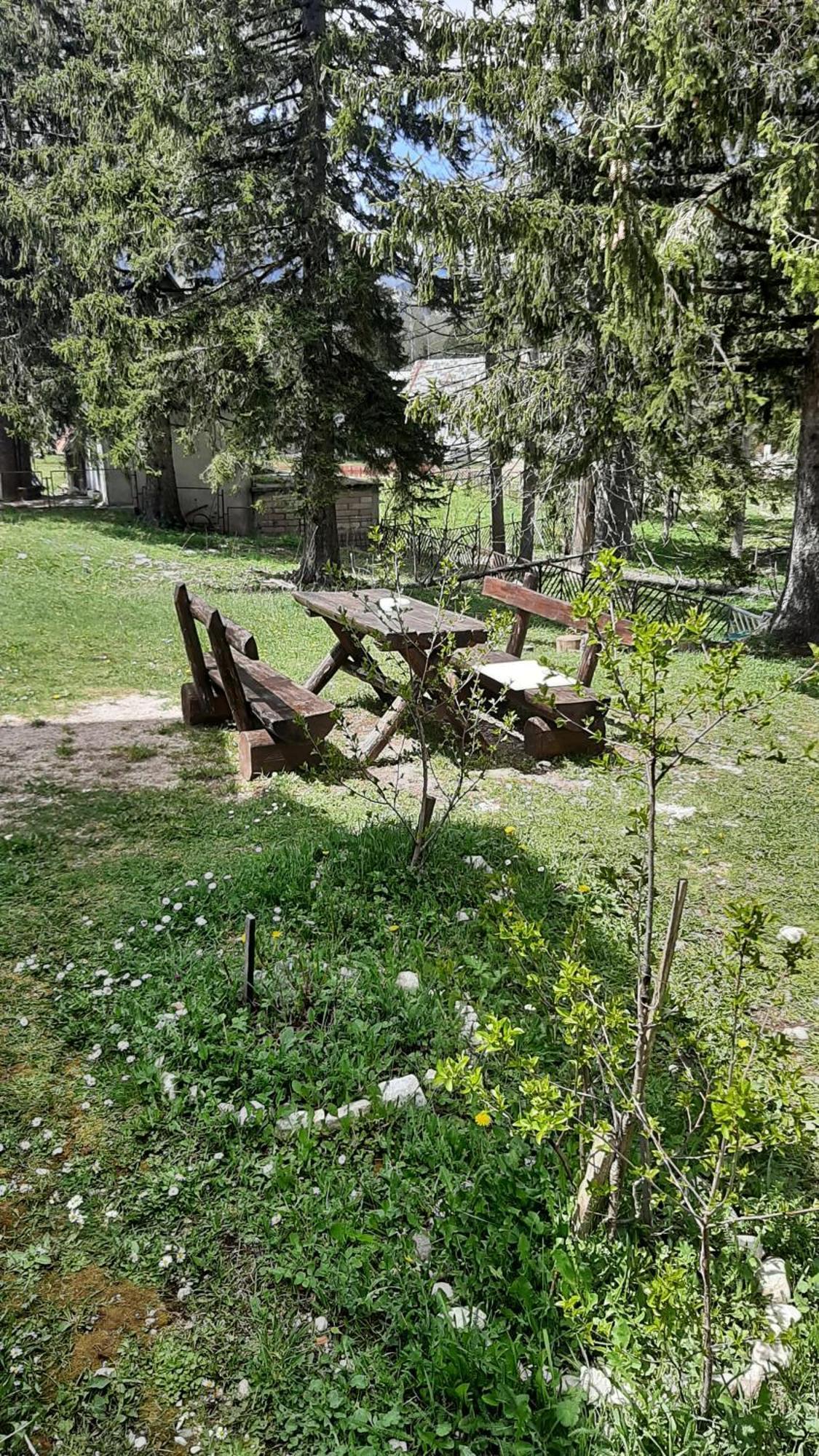 Apartments Durmitor Žabljak Eksteriør billede